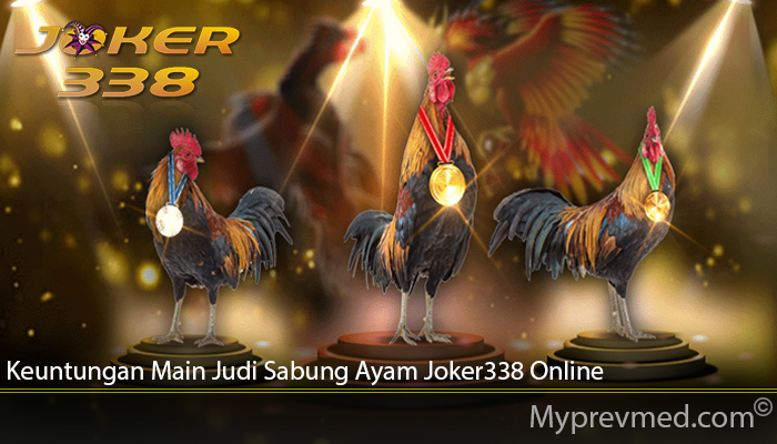 Keuntungan Main Judi Sabung Ayam Joker338 Online