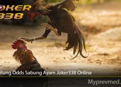 Tips Hitung Odds Sabung Ayam Joker338 Online