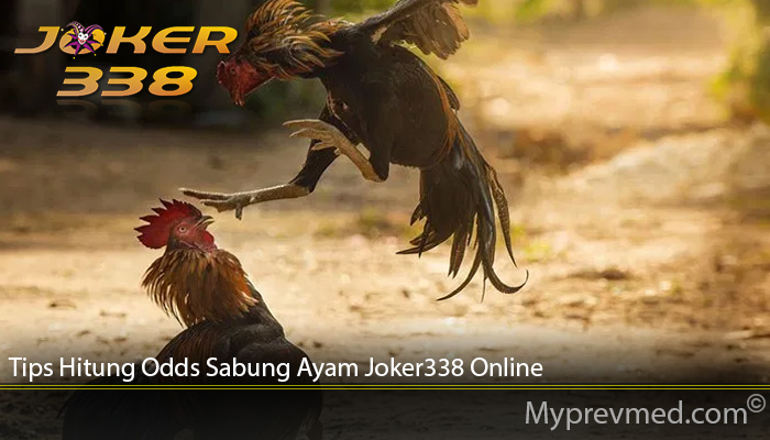 Tips Hitung Odds Sabung Ayam Joker338 Online